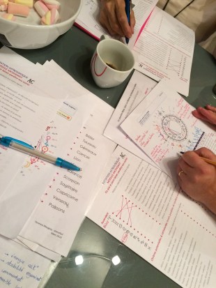 40790098_312950446175404_133234128949608448_n (1).jpg