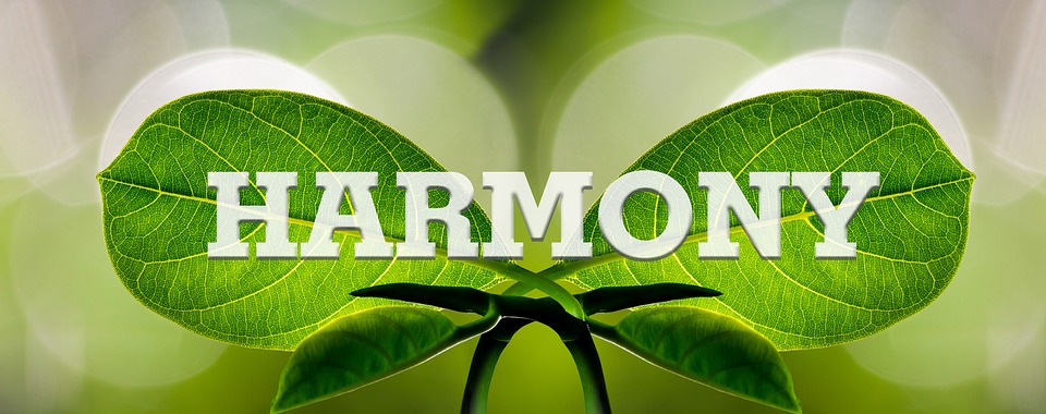 harmony-1210463_960_720